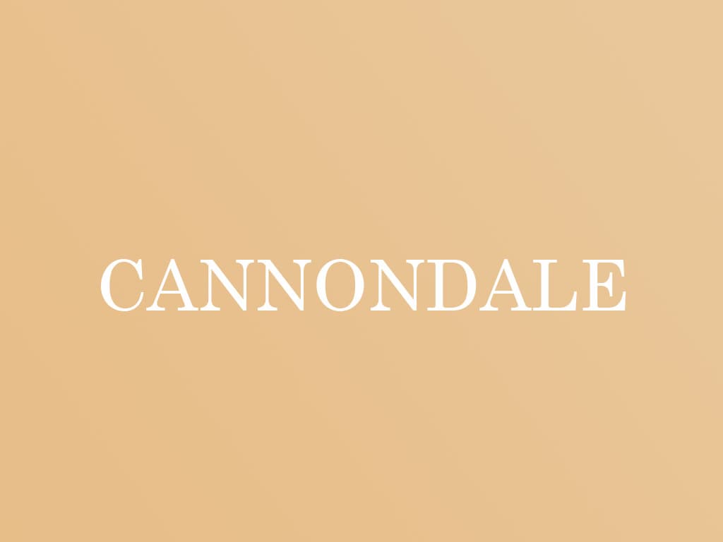 CANNONDALE(キャノンデール)