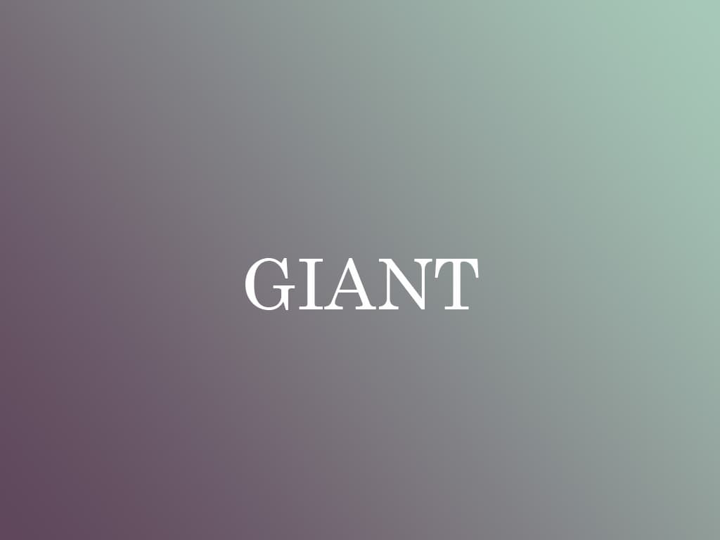 GIANT(ジャイアント)